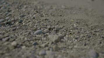 des pierres et le sable dans lit de rivière en plein air video