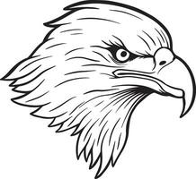 eagle head hand drawn illustrations for the design of clothes stickers tattoo etc vector