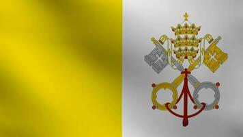 vlag van Vaticaan stad golvend video