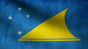 Tokelau flag waving at wind video