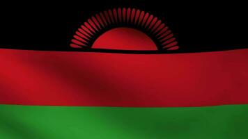 Malawi country flag video