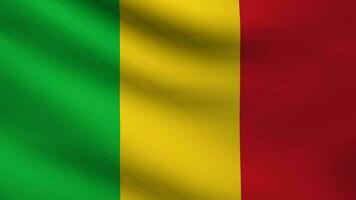 Flag of Mali waving video