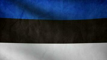 Estonia bandera ondulación video