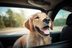 linda perro mirando fuera de coche ventana , ai generado foto