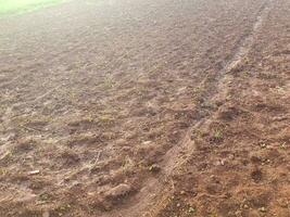 Illumination reflections on a plowed acre photo