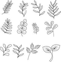 Leaf Branch,line art hand draw set elements in minimalist Design illustration foe decoration for wedding or birthday card vector