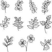 Leaf Branch,line art hand draw set elements in minimalist Design illustration foe decoration for wedding or birthday card vector