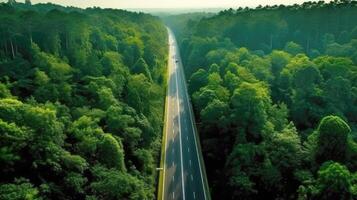 Aerial top view of asphalt road through green forest, healthy rain forest, environment, health, green economy, view of nature ecosystem for save Earth with Generative AI. photo