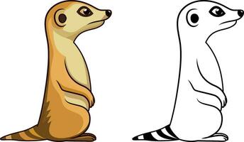 meerkat side view cartoon style vector illustration ,suricates , Suricata suricatta , meercat colored and black and white line artwork stock vector image