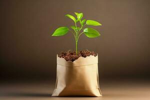 Small green plant in brown paper bag against brown background Sustainability concept Minimalistic style illustration 3D render photo