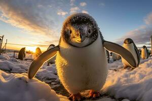 retrato de un animado pingüino en un Nevado escena con un sereno puesta de sol fondo foto