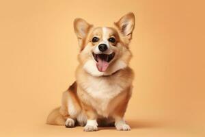 cute dog on beige background, AI Generated photo