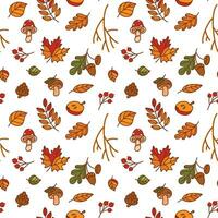 Falling autumn leaves. Autumn seamless pattern. Vector. vector