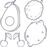 Vector illustration fruits collection draw