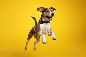 cute dog on yellow background, AI Generated photo