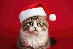 Kitten wearing santa hat on red background with copy space. AI Generated photo