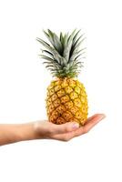 Hand hold fresh pineapple isolated on white background. ai generated photo