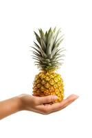 Hand hold fresh pineapple isolated on white background. ai generated photo