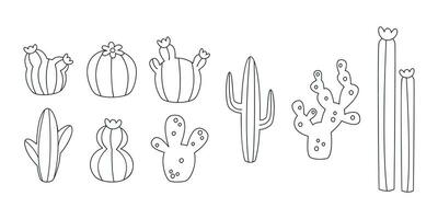 Hand drawn linear vector illustrations of cactus