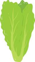 Organic Lettuce Element vector