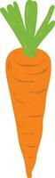 Organic Carrot Element vector