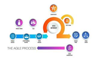 Agile strategic methodology sprint, scrum, approach, digital marketing framework , plan, manage and optimize digital channels, project infographic. vector