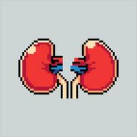 Pixel art illustration Kidney. Pixelated Kidney. Kidney icon pixelated for the pixel art game and icon for website and video game. old school retro. vector