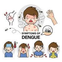 illustration of dengue fever symptoms infographics vector background