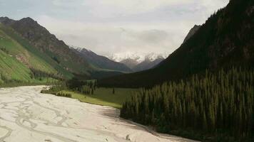 Mountains and trees at sunset. video