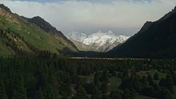 Mountains and trees at sunset. video