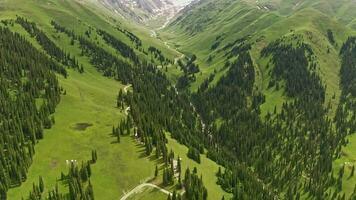 Mountains scenery of Nalati grassland. video