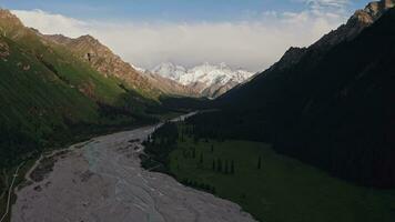 Mountains and trees at sunset. video