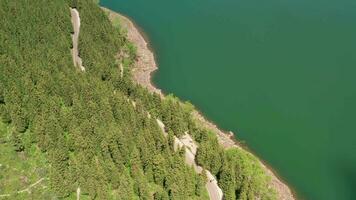 Green trees and the lake in Tianchi, xinjiang, China. video