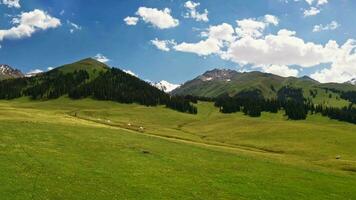 nalati Wiese und Berge im ein fein Tag. video