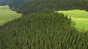 Bäume und Wiese sind unter Weiß Wolken. video