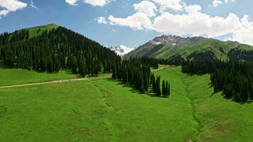 Nalati grassland and snowy mountains in a fine day. video