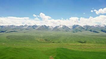 riesig Grasland und Berge im ein fein Tag. video