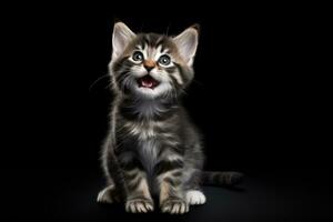 Kitten on black background with copy space. AI Generated photo