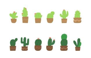 Cactus in a pot hand drawn illustration vector