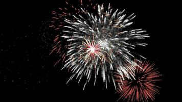Fireworks night celebration background video