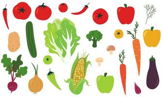 Set of delicious vegetables vector