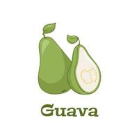 guayaba, sabroso comestible tropical verde Fruta icono. vector guayaba dibujos animados ilustración aislado en blanco antecedentes