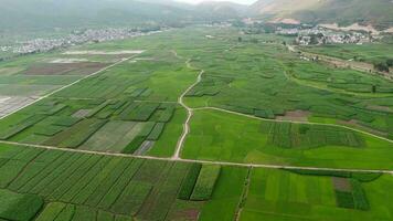terras agrícolas e Campos dentro Yunnan, China. video