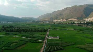 by och fält i shaxi, Yunnan, Kina. video