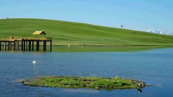 Lakes and meadows, in Bayingol Mongolian Autonomous Prefecture, xinjiang, China. video