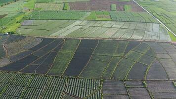 Farmland and fields in Yunnan, China. video