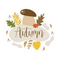 autumn card background vector