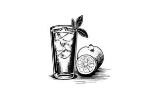 Drink lemonade with lemon and mint hand drawn engraving style vector illustration photo