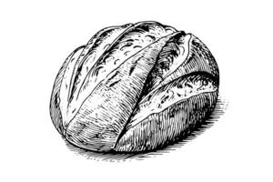 Loaf of bread. Vector hand drawn vintage engraving style vector illustration. photo