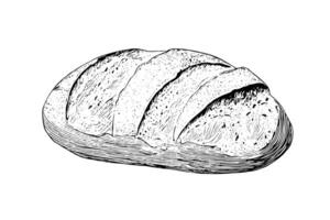 Loaf of bread. Vector hand drawn vintage engraving style vector illustration. photo